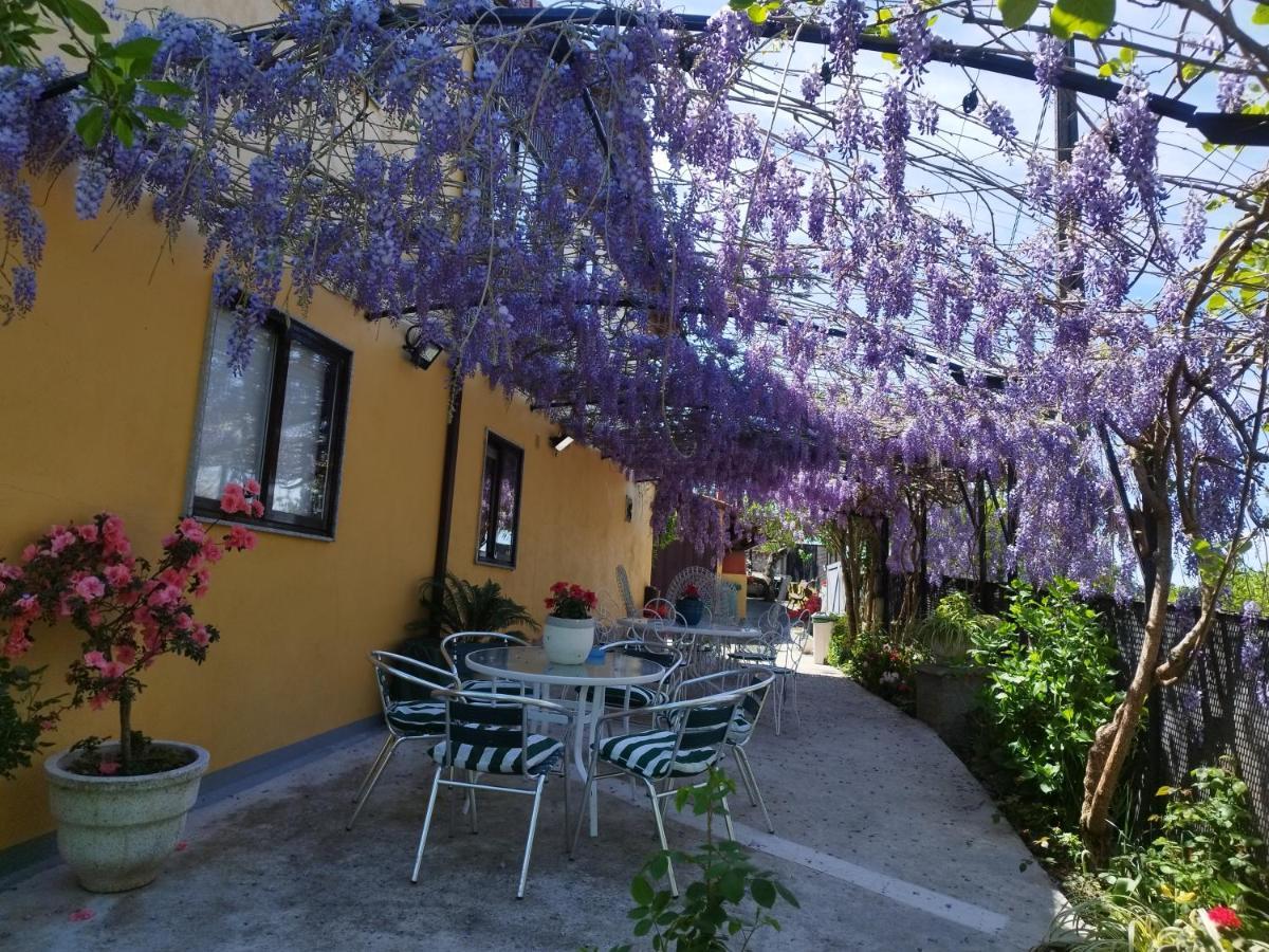 Casa Da Vieira Hotel Orense Kültér fotó